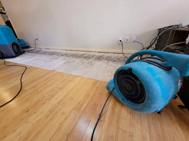 Professional Water Damage Repair technician working in La Palma, CA